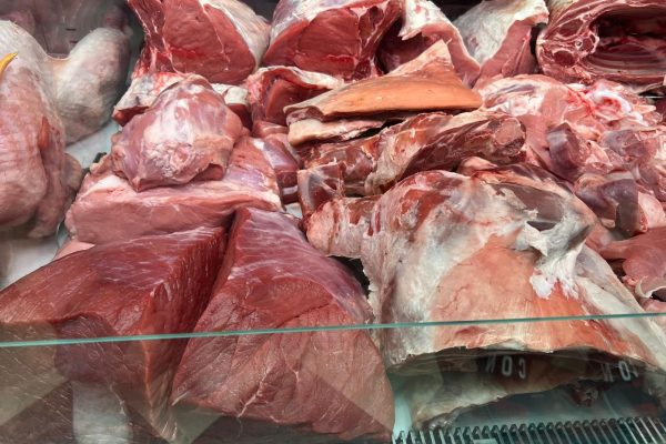Macelleria islamica a Vercelli